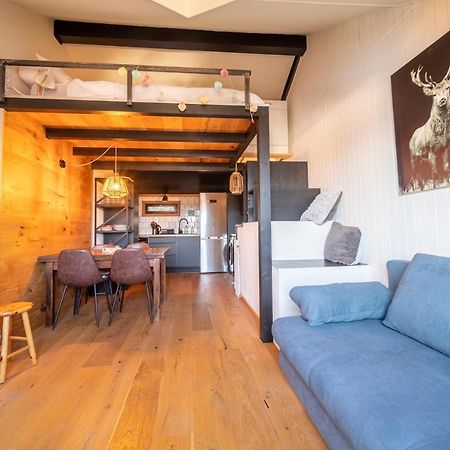 Le Cerf - Duplex Avec Superbe Vue Montagne Apartment Les Angles  Exterior photo